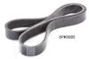 ASHIKA 112-6PK885 V-Ribbed Belts